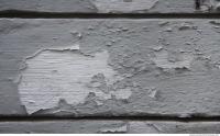 Photo Texture of Plaster 0009